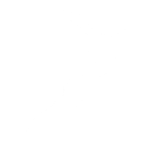 Made in New Zealand